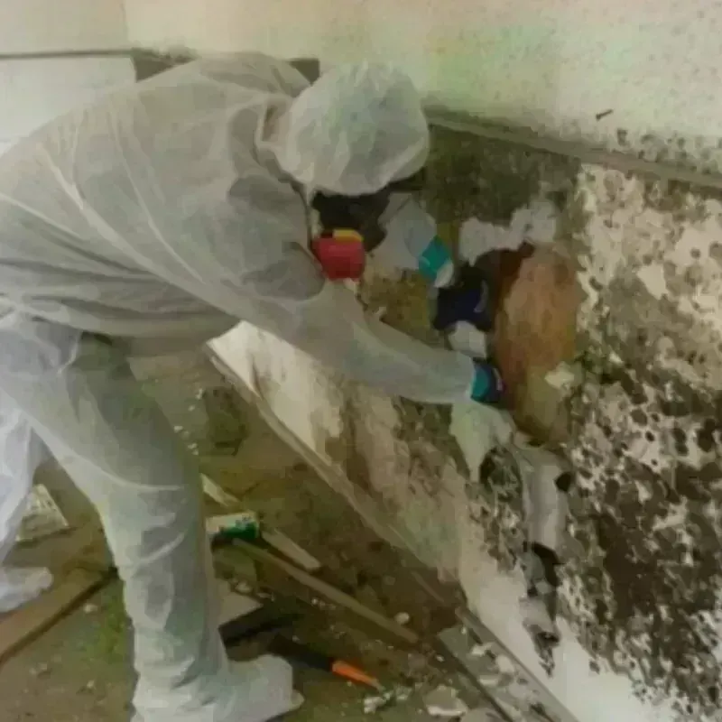 Mold Remediation and Removal in Prudenville, MI