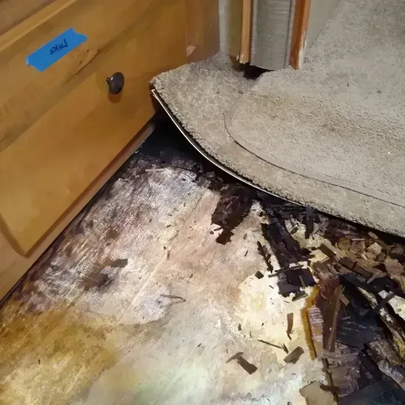 Wood Floor Water Damage in Prudenville, MI